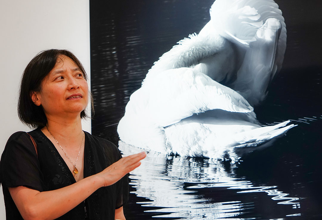 周舟的摄影——艺术家对谈